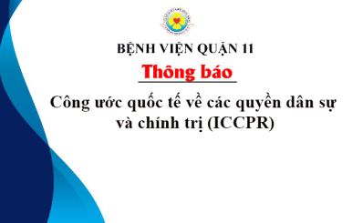 Công ước quốc tế về các quyền dân sự và chính trị (ICCPR)